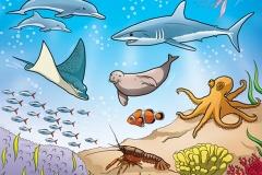 ShamVanDamnArt_TextBook12